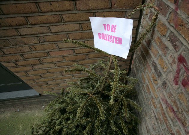so how do i get rid of my wilting shedding christmas tree so how do i get rid of my wilting shedding christmas tree